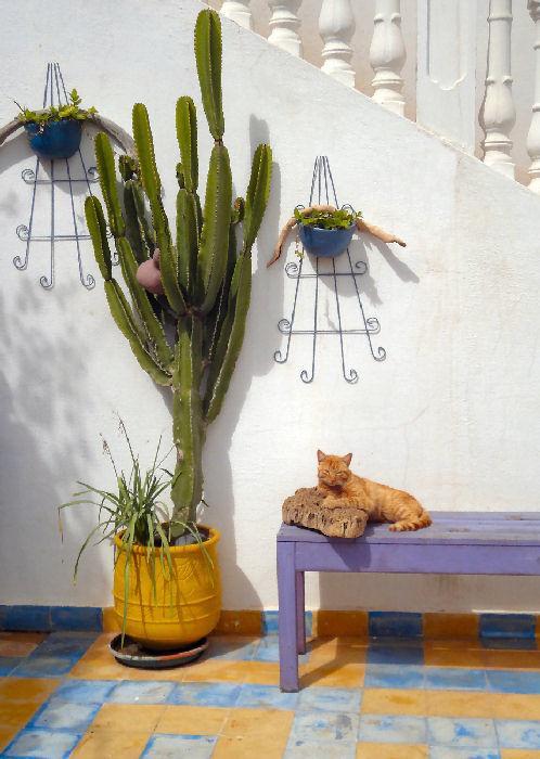 Appart Hotel La Planque Oued Laou エクステリア 写真